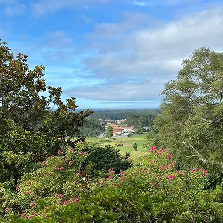Casa Mata Da Ribeira * Barcelos