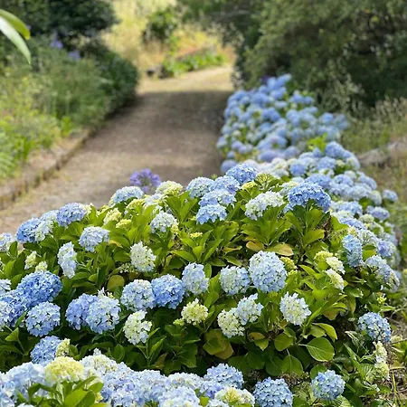 בית כפרי Casa Mata Da Ribeira