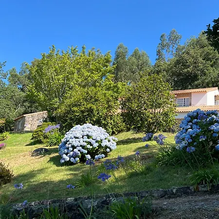 Casa Mata Da Ribeira * バルセロス