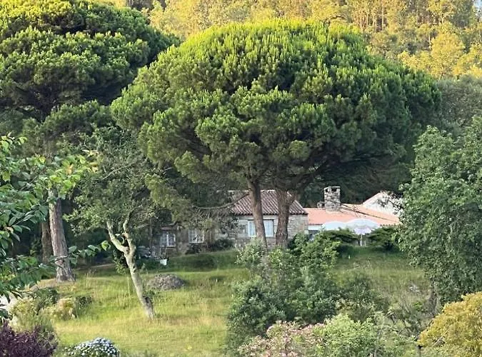 Landhuis Casa Mata Da Ribeira Barcelos