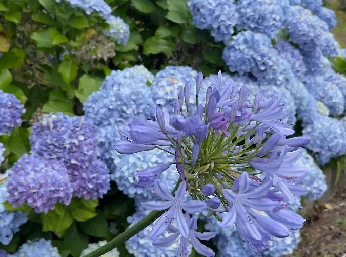 Casa Mata Da Ribeira Casa di campagna *