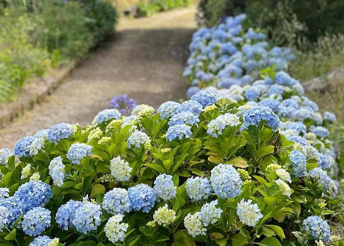 Landhuis Casa Mata Da Ribeira
